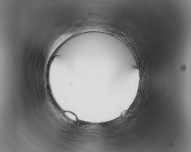 X0000115000104200912071149