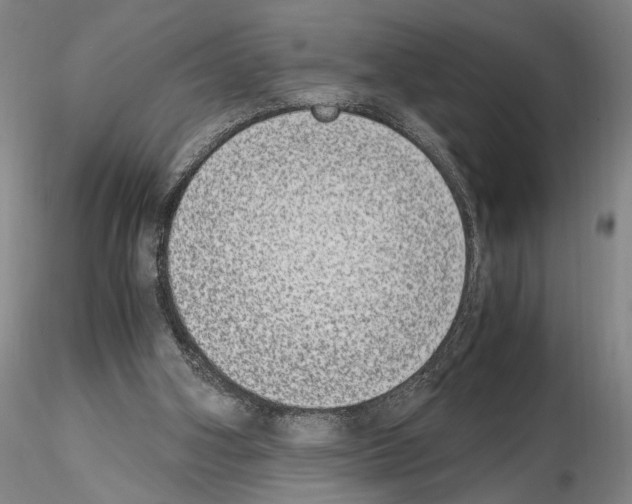 X0000115000106200912071149