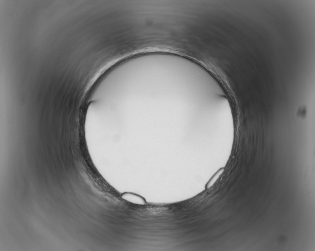 X0000115000108200912071149