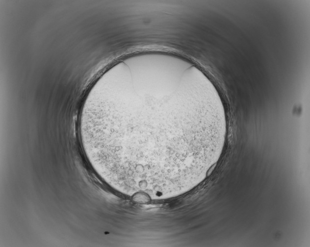 X0000115000111200912071149