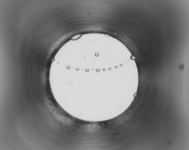 X0000115000112200912071149