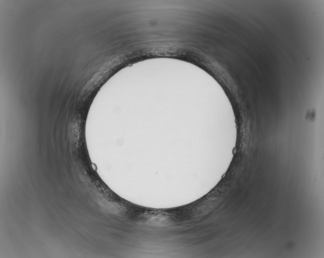 X0000115000113200912071149