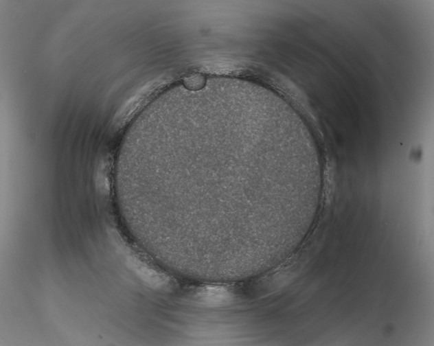 X0000115000114200912071149