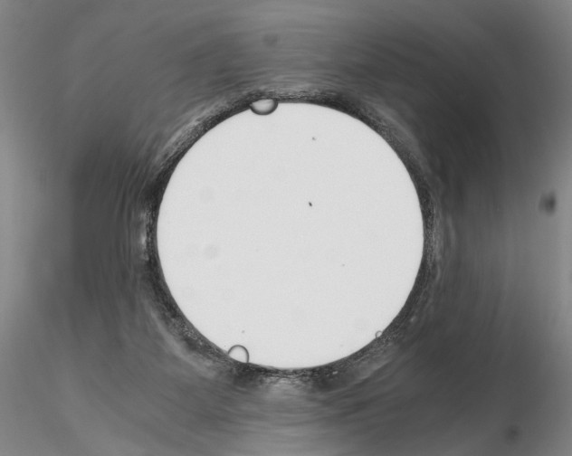 X0000115000115200912071149