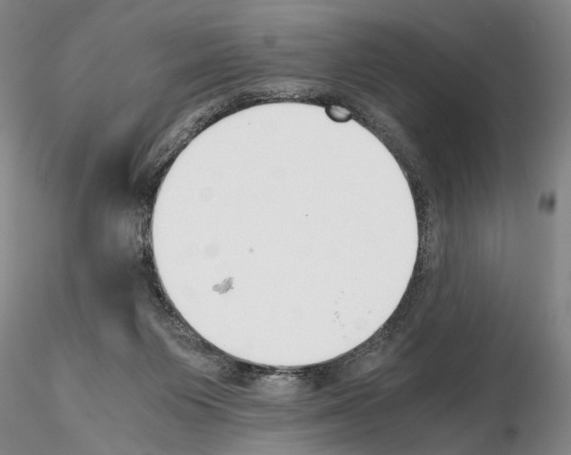 X0000115000119200912071149