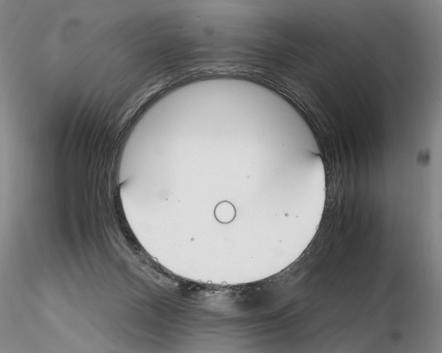 X0000115000120200912071149