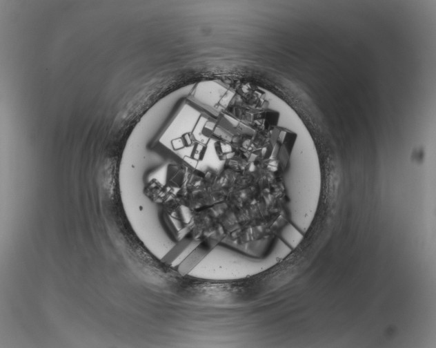 X0000115000121200912071149