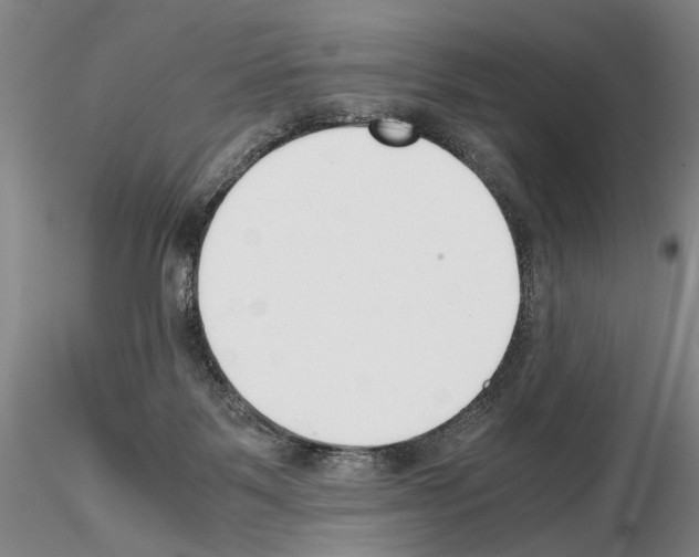 X0000115000123200912071149