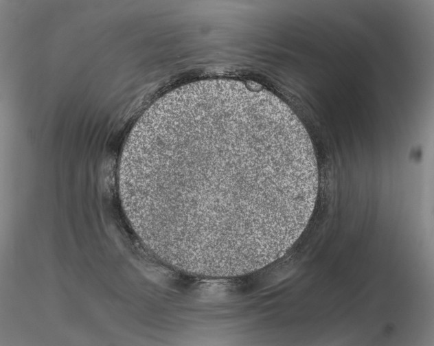 X0000115000127200912071149