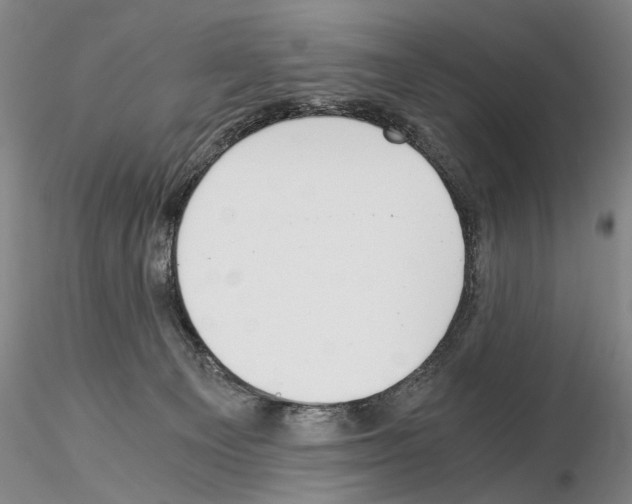 X0000115000129200912071149