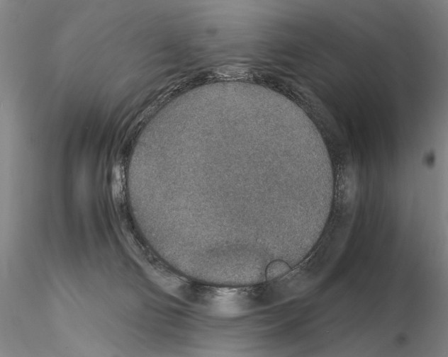 X0000115000130200912071149