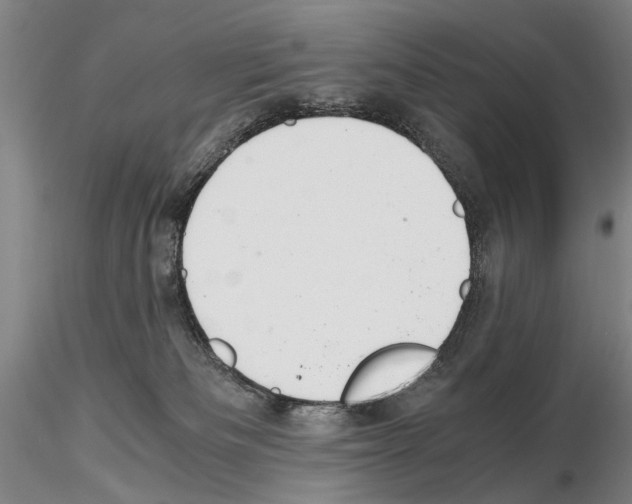 X0000115000133200912071149