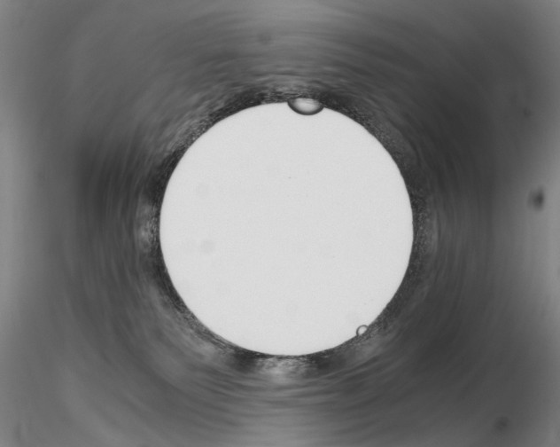 X0000115000135200912071149