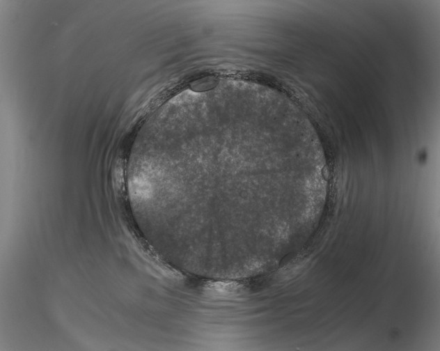 X0000115000137200912071149