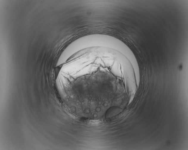 X0000115000139200912071149