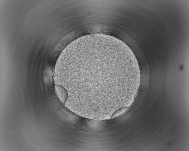 X0000115000142200912071149