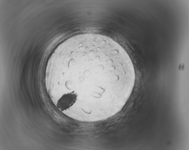 X0000115000145200912071148