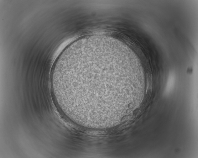 X0000115000147200912071148