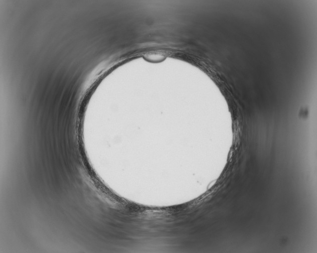 X0000115000150200912071148