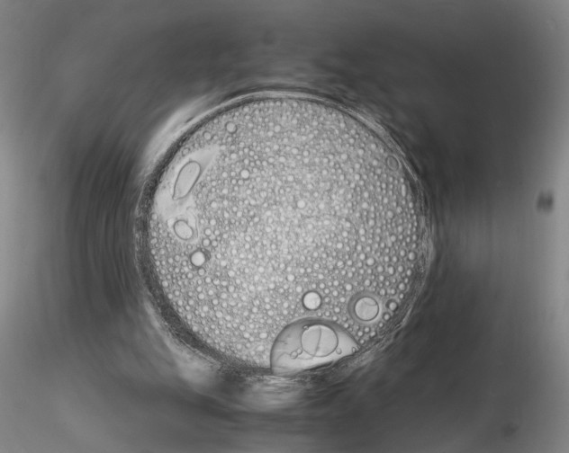 X0000115000151200912071148