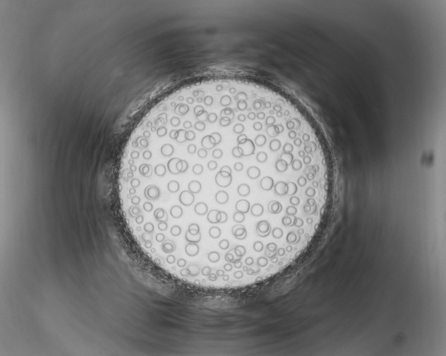 X0000115000153200912071148