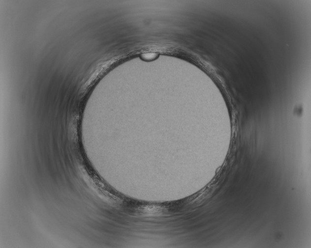 X0000115000154200912071148