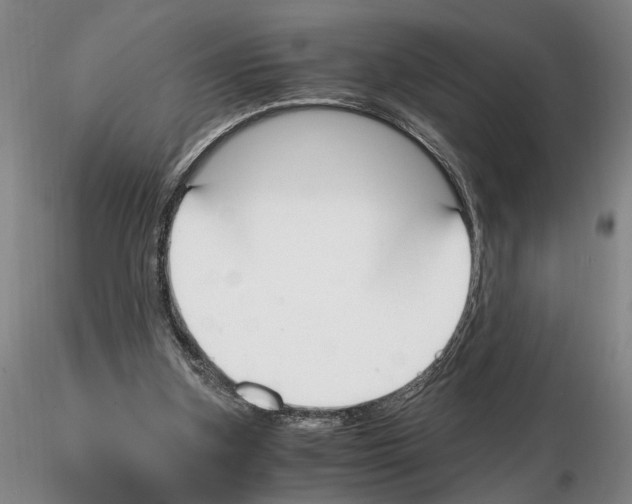 X0000115000155200912071148