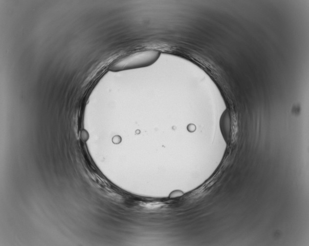 X0000115000158200912071148