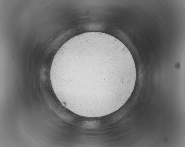 X0000115000161200912071148