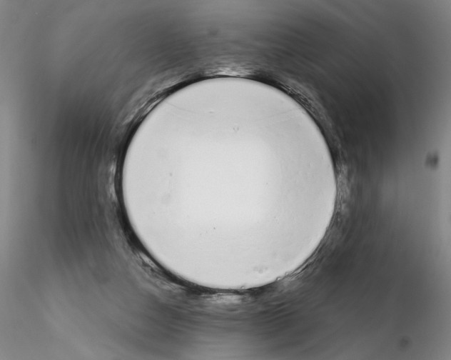 X0000115000162200912071148