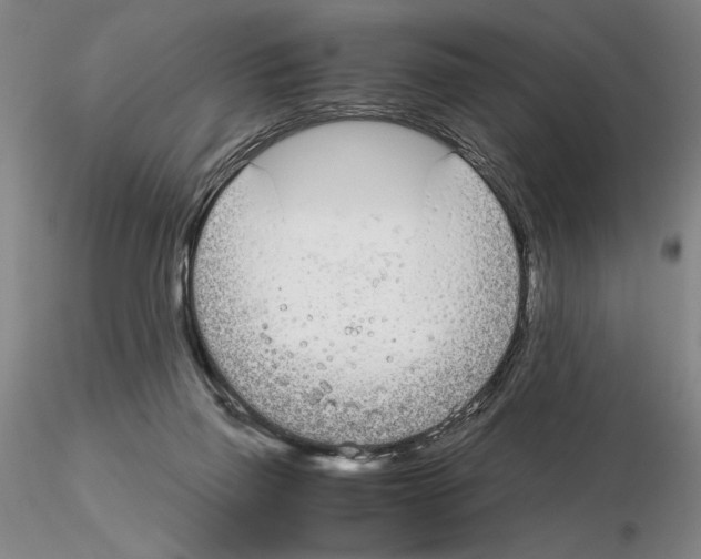 X0000115000165200912071149