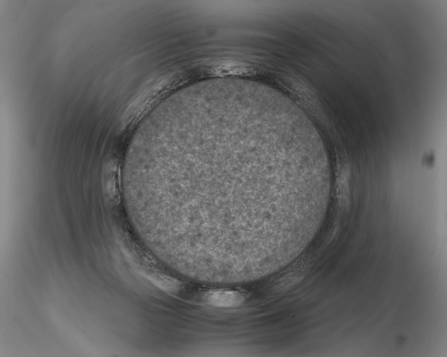 X0000115000169200912071149