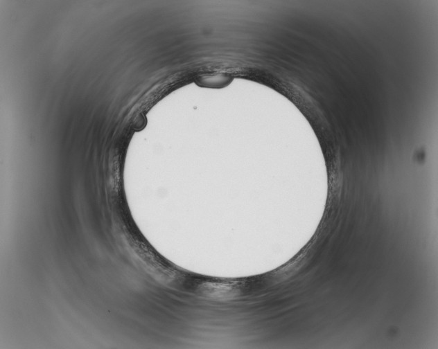 X0000115000170200912071149