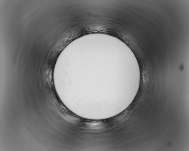 X0000115000173200912071149