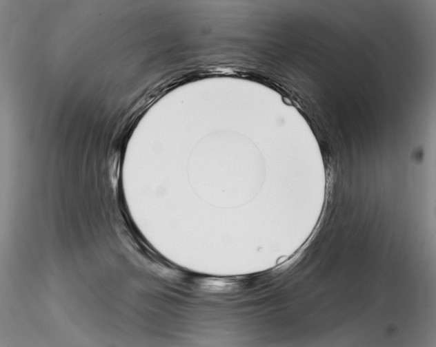 X0000115000174200912071149