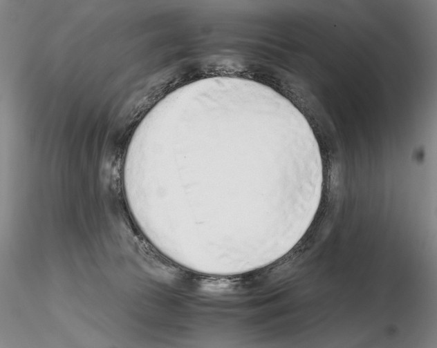 X0000115000177200912071149