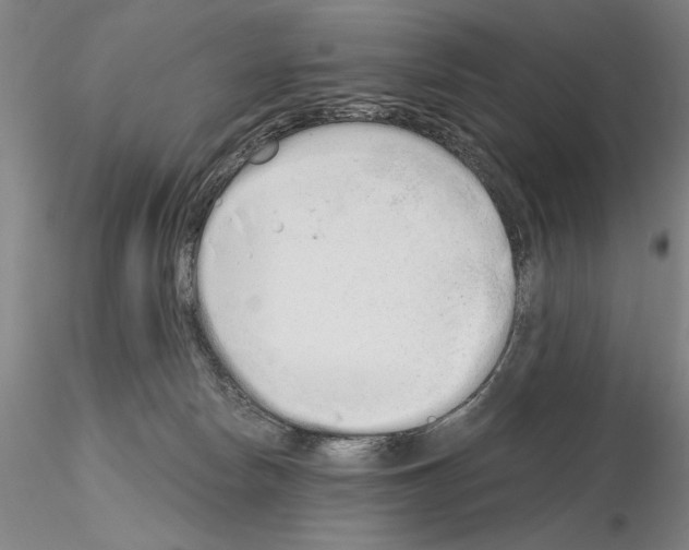 X0000115000178200912071149