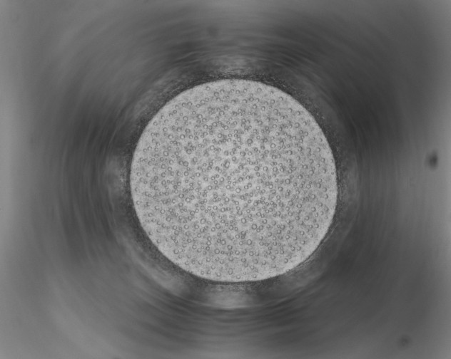 X0000115000179200912071149