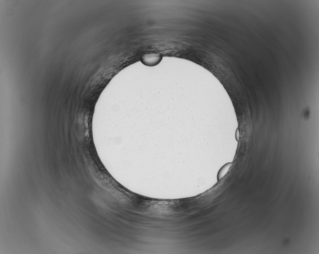 X0000115000182200912071149