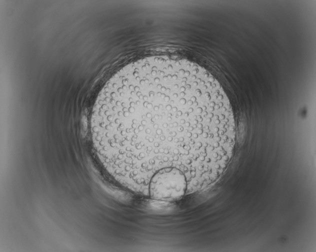 X0000115000183200912071149