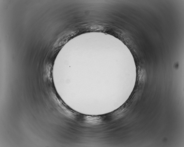 X0000115000185200912071149