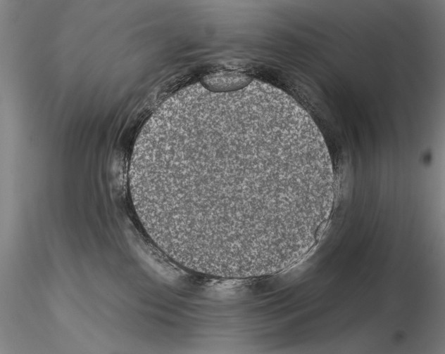 X0000115000186200912071149