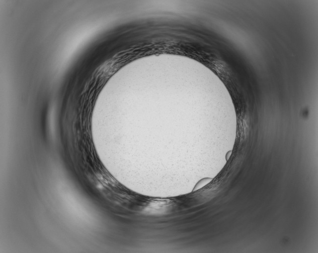 X0000115000189200912071149