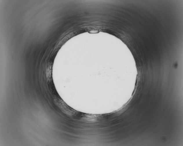 X0000115000190200912071149