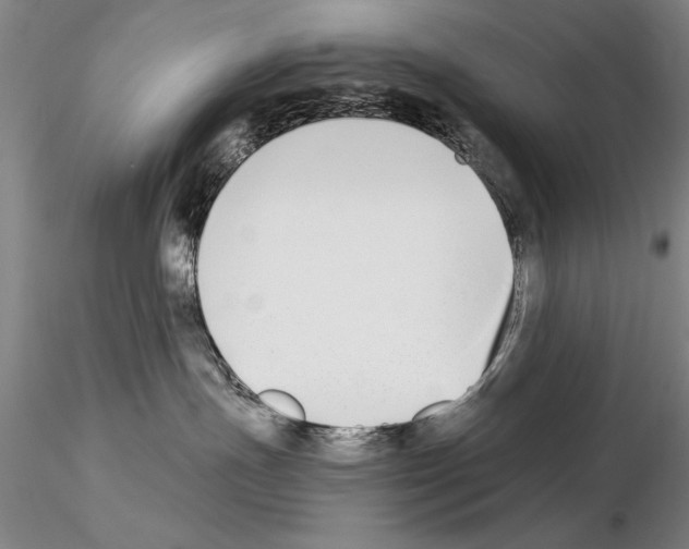 X0000115000191200912071149