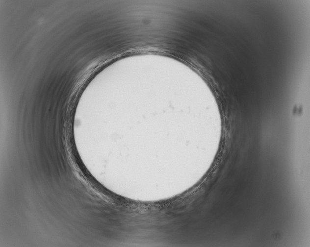 X0000115000193200912071148