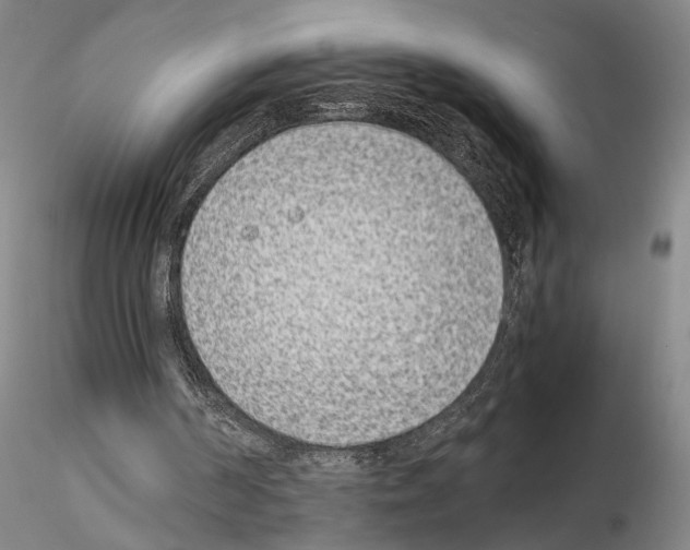 X0000115000194200912071148