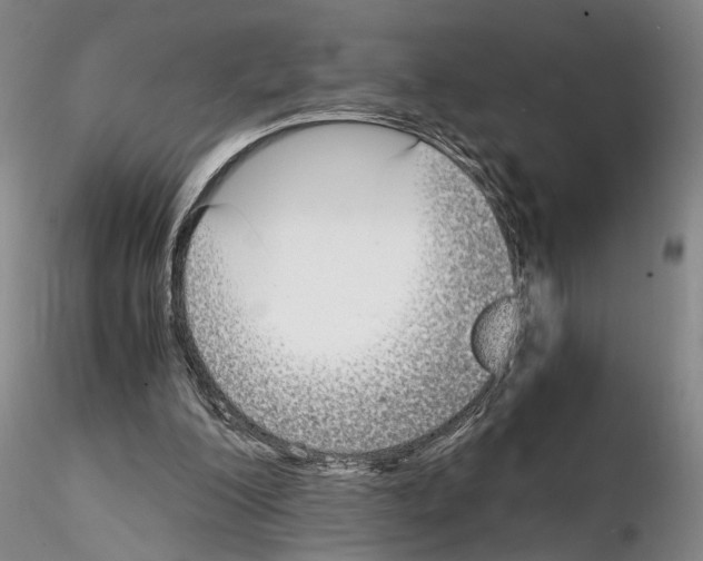 X0000115000200200912071148