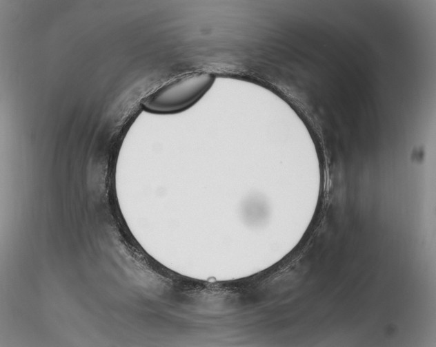 X0000115000201200912071148