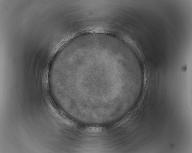 X0000115000202200912071148